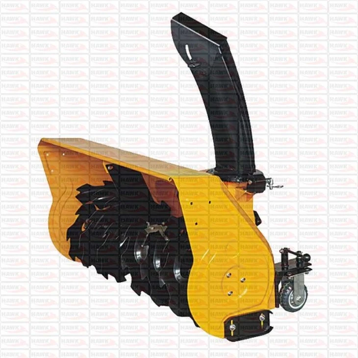 Electric Start Snow Blower Road