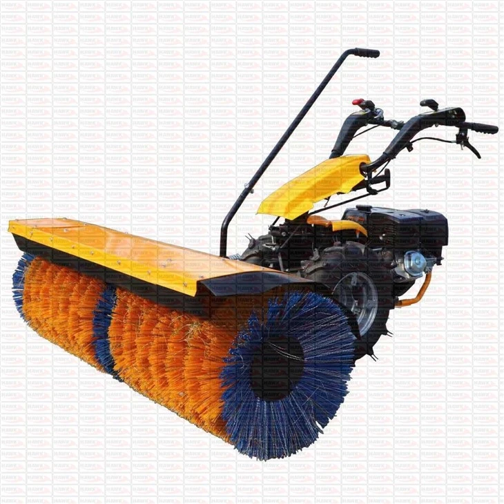 Electric Start Snow Blower Road