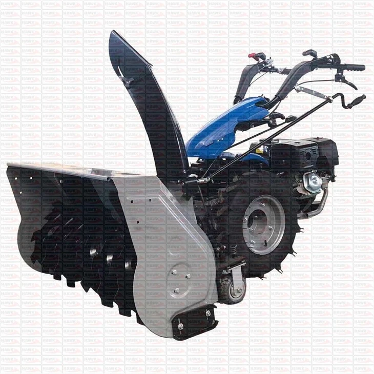 Electric Start Snow Blower Road